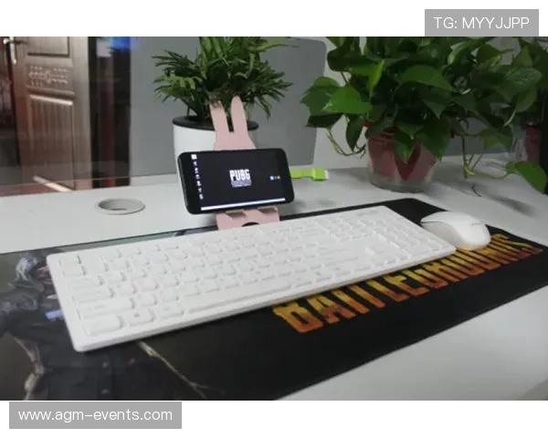 开云tylenol游戏更新内容详解及未来发展趋势分析帮助玩家提前了解新版本变化